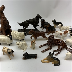A group of fourteen Beswick dogs, to include Corgi, Pug, Yorkshire Terrirer,  three Spaniels, three Alsatians or German Shepherds, Labrador duo, Old English Sheepdog duo, West Highland Terrier duo, Welsh Terrier, Dalmatian (a/f), together with three Beswick sheep (a/f), and a selection of other dog and sheep figurines. 