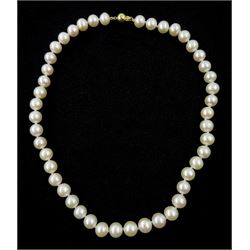 Single strand cultured white pearl necklace, with 9ct gold ball clasp, stamped 375
