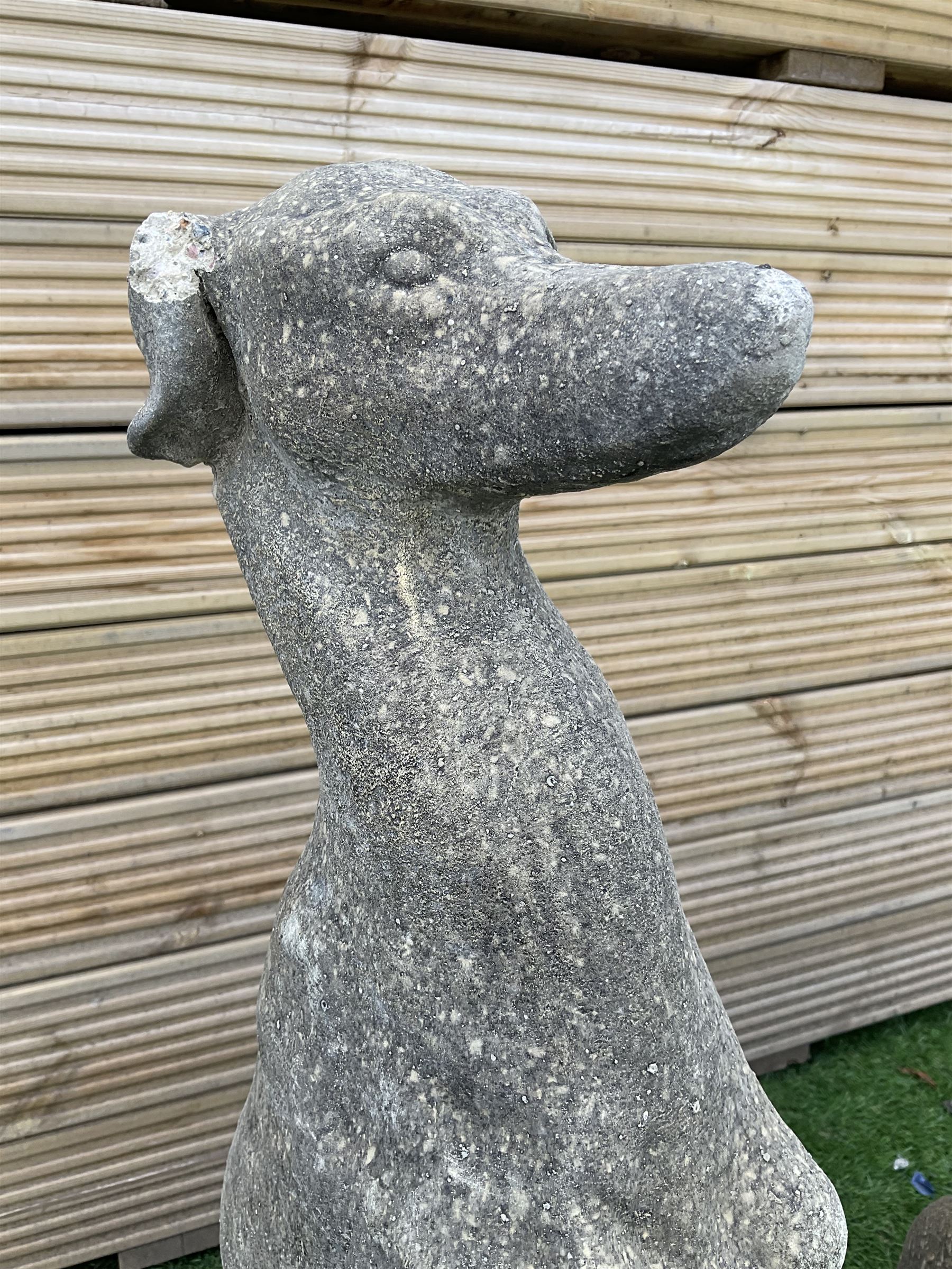 Pair of cast stone seated greyhounds, H75, W20, D25 - THIS LOT IS TO BE COLLECTED BY APPOINTMENT FROM DUGGLEBY STORAGE, GREAT HILL, EASTFIELD, SCARBOROUGH, YO11 3TX