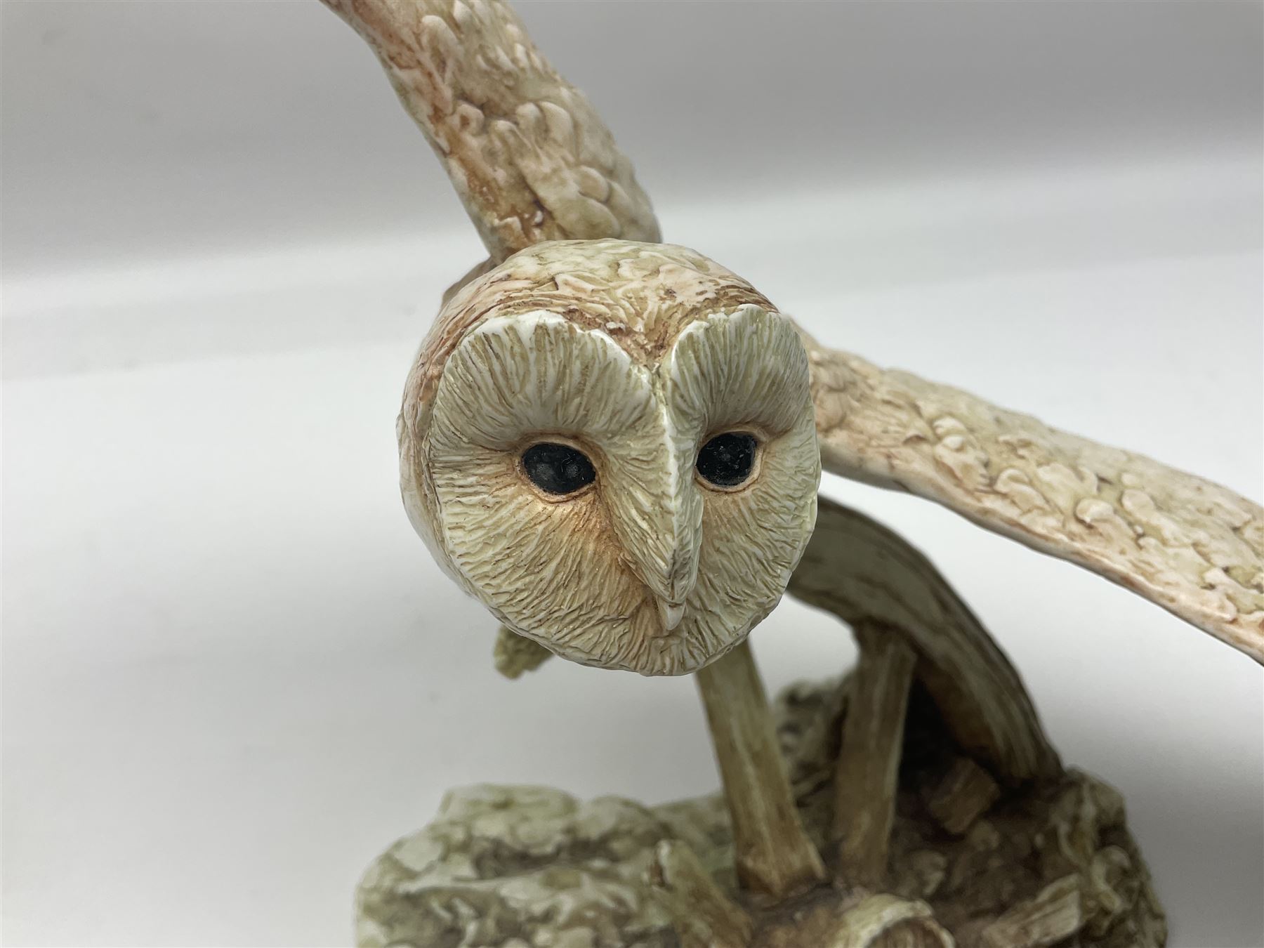 Border Fine Arts figure Barn Owl in Flight B1532, boxed with certificate, together with Country Artists figure Tawny Owl with Honeysuckle CA441, tallest H31.5cm