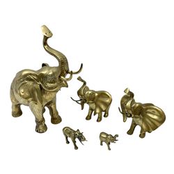 Set of five brass elephants, largest elephant L40cm