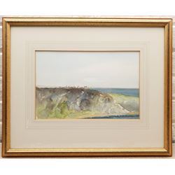 Edward Malcolm (Scottish Contemporary): 'Whinnyfold', watercolour signed, titled on gallery label verso 23cm x 34cm Provenance: with The Waverley Gallery, Aberdeen, label verso