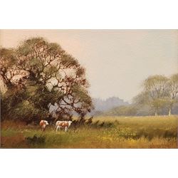 James Wright (British 1935-): Cows in the Field, oil on board signed, certificate of authenticity verso 12cm x 17cm