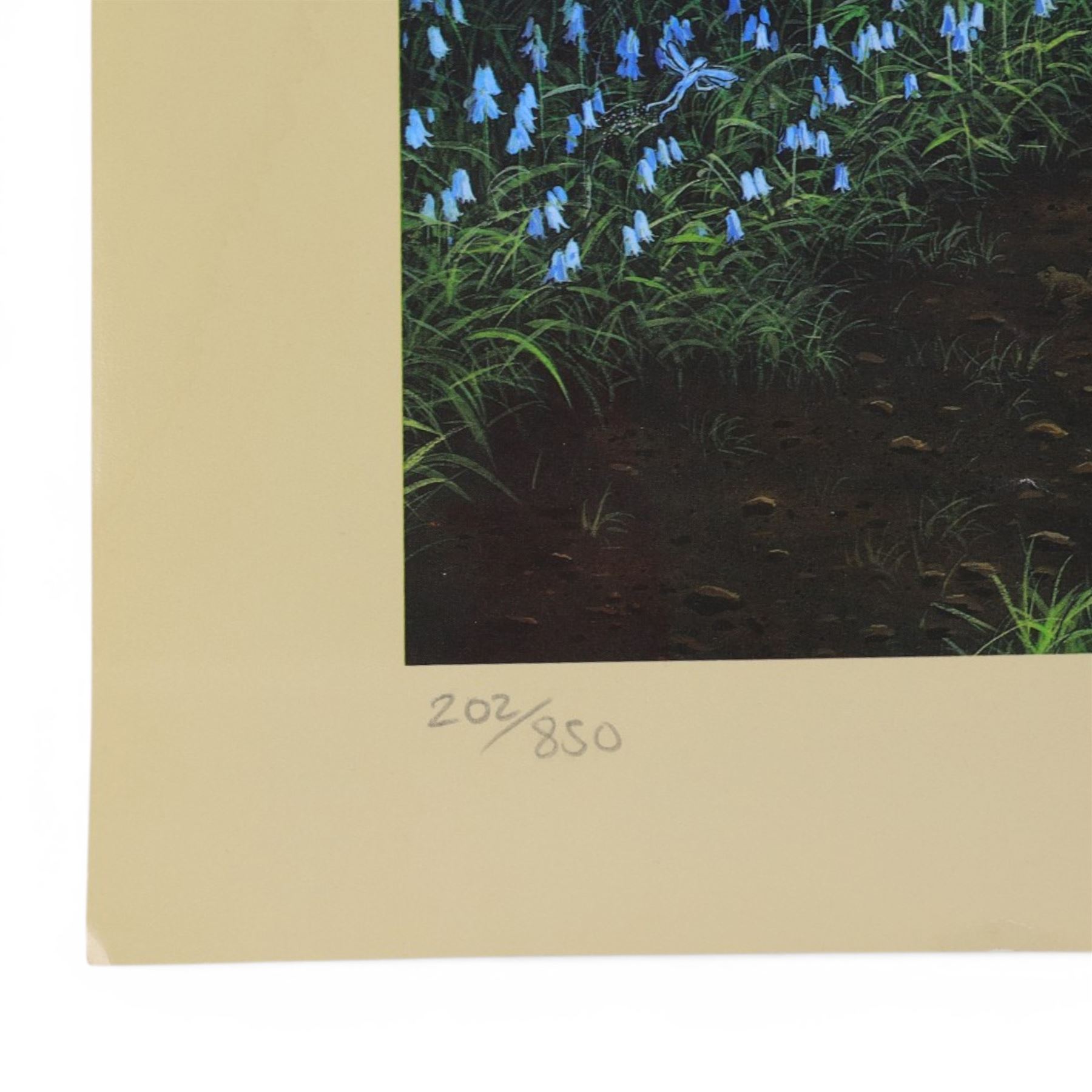 Danny Flynn (British 1958-): digital print of for a 90s TV show that never came to air featuring Danny Flynn in the centre and Arthur C Clarke looking on, two limited edition signed prints of a bluebell wood, two further signed limited edition prints of birds in surreal landscapes and a collection of postcards, three prints framed, largest H34cm

Notes: This item is from the private collection of Arthur C. Clarke's brother.