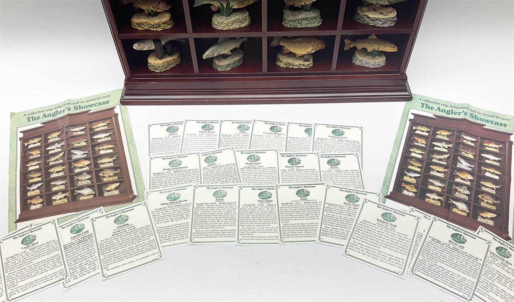 Twenty Four Danbury Mint models of fish, The Angler's Showcase, each with accompanying information card, in wooden wall mounted display shelf, with title plaque, display shelf H61cm L54cm