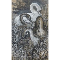 Charles Frederick Tunnicliffe (British 1