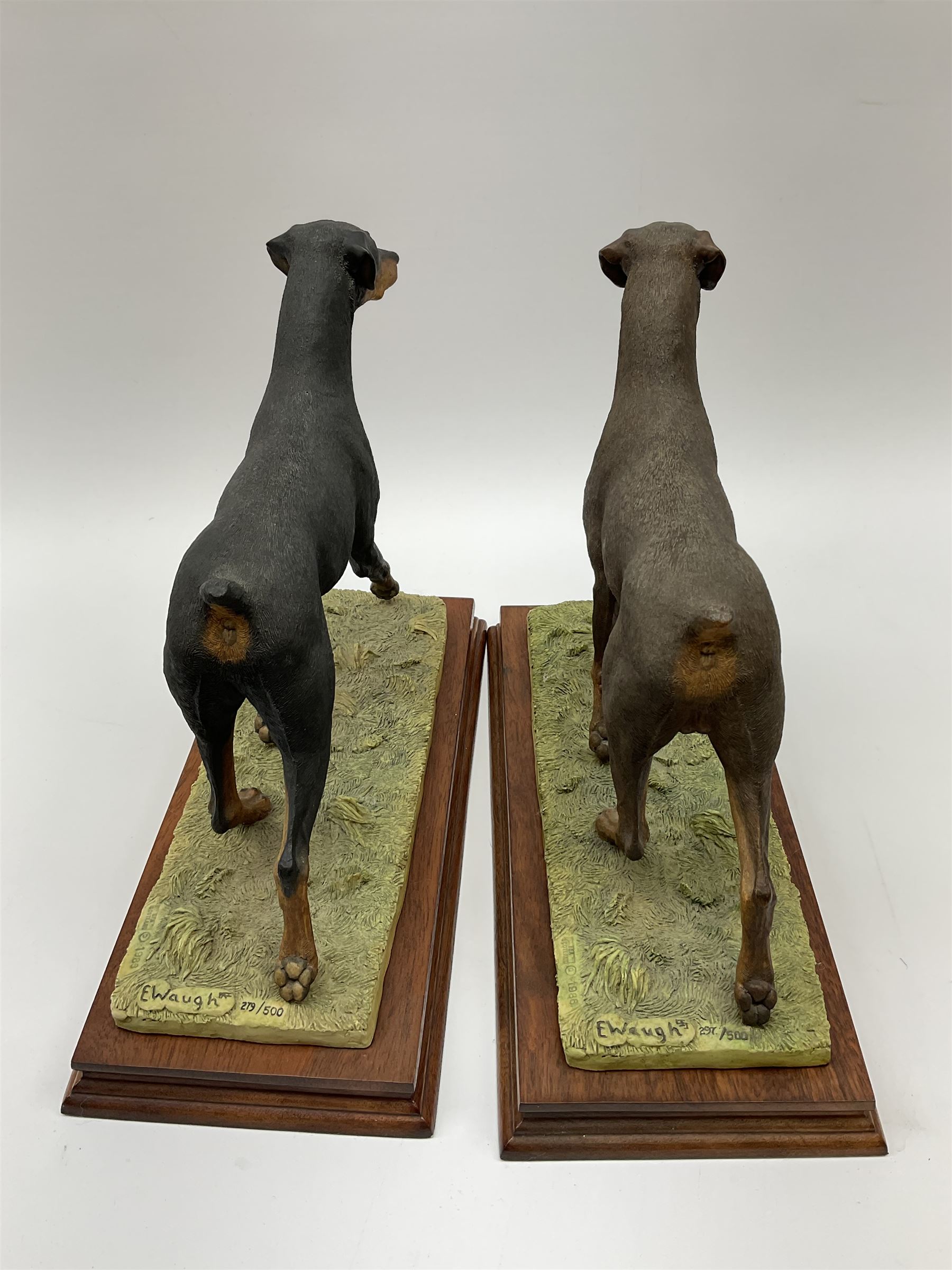 Border Fine Arts Doberman Pinscher, black with brown markings, limited edition 279 of 500 modelled by Elizabeth Waugh, with plinth H20.5cm, together with Border Fine Arts Doberman Pinscher, dark brown with light brown markings, limited edition 297 of 500 modelled by Elizabeth Waugh, with plinth H20.5cm