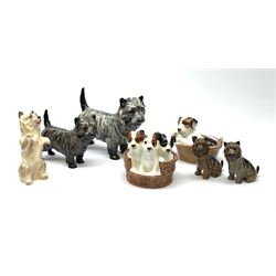A group of Royal Doulton dog figures, comprising three Cairn Terriers HN1034, HN1035, and HN2589, two further smaller Terriers, a Terrier puppy in a basket HN2587, and three Terrier puppies in a basket HN2588. (7).