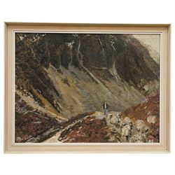 Pat (Patrick) Cleary (British 20th century): Herding Swaledale Sheep in the Lake District, oil on board signed 60cm x 79cm