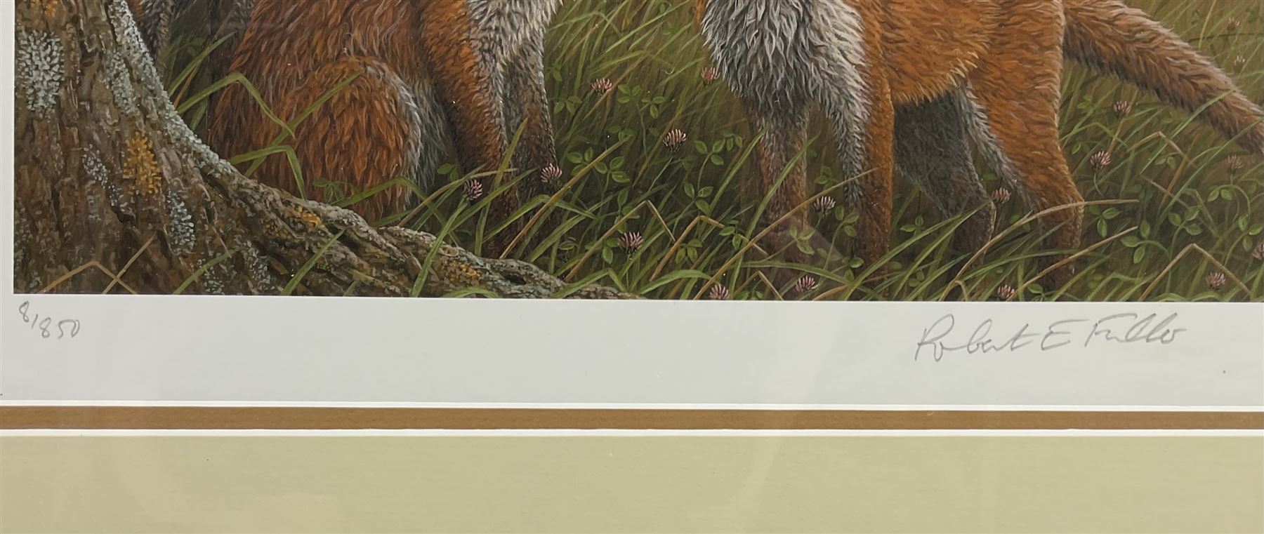 Robert E Fuller (British 1972-): Red Foxes in Long Grass, limited edition colour print signed and numbered 8/850 in pencil 20cm x 30cm