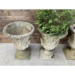 Set of four Victorian design cast stone Grecian urns, tapering form cast with figures and handles, square plinth bases