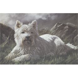 John Trickett (British 1952-): Scottish Terrier 'Highland Pride', limited edition colour print, titled and numbered 471/500 verso 37cm x 44cm