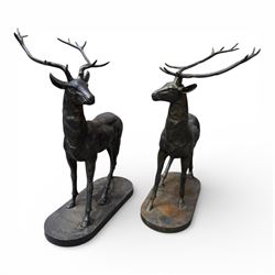 Pair of life-size cast iron garden or home stags, modelled standing upon oval plinths