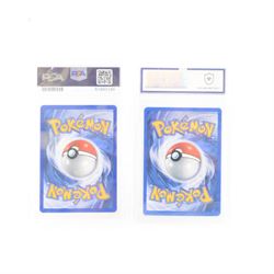 fake graded pokemon cards Premium Traditional sleeved collectors binder [480 pockets 3X4] Hazel