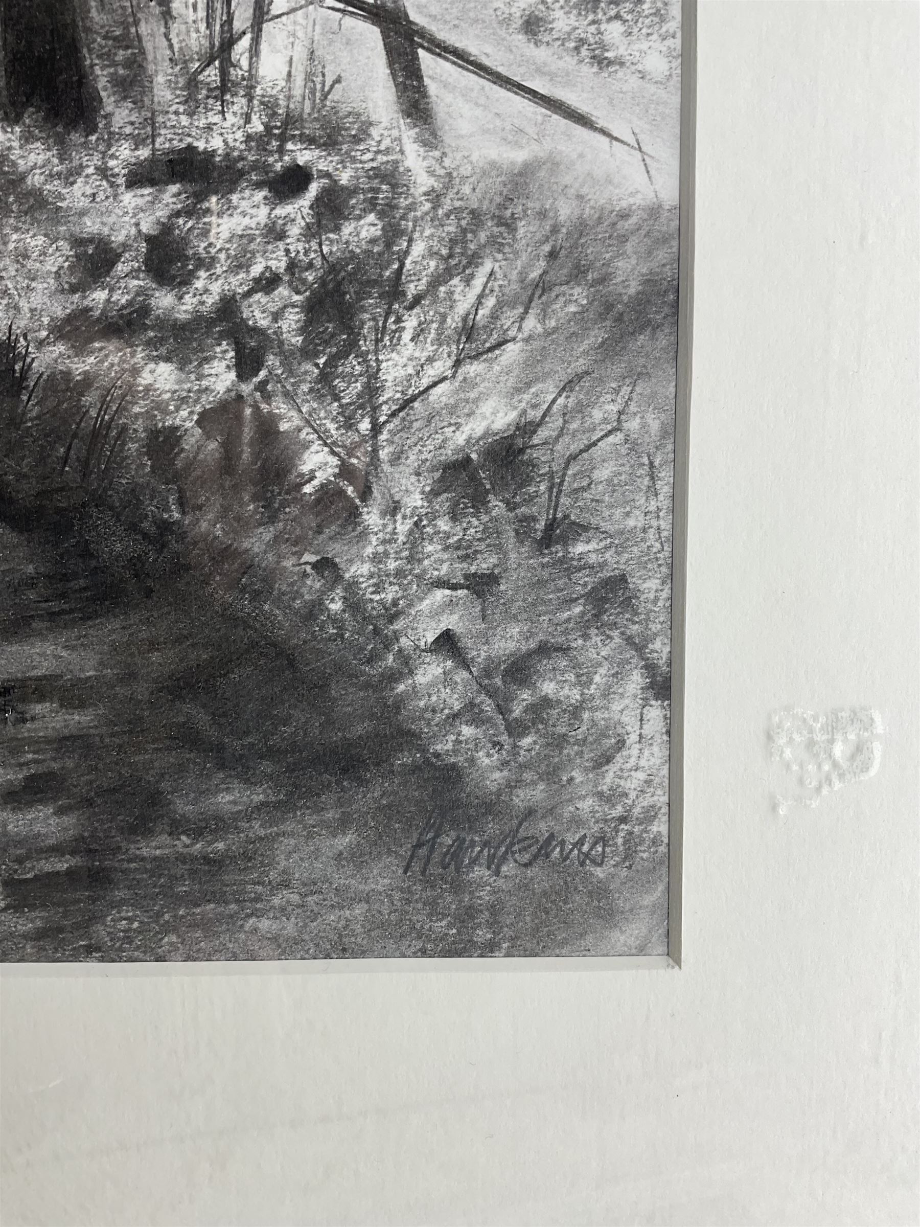 Andy Hawkins (British Contemporary): Shaded Woodland Path, charcoal signed 78cm x 56cm 