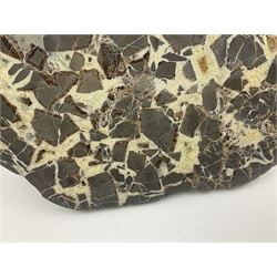 Septarian slice, polished, with a calcite centre and argonite/siderite lines within limestone rock, L26cm, W19cm