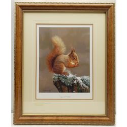 Robert E Fuller (British 1972-): 'Squirrel Nutkin', limited edition colour print signed and numbered 572/850 in pencil 34cm x 27cm; Andrew Hutchinson (British 1961-): Hedgehog, limited edition colour print signed and numbered 476/490 in pencil 22cm x 44cm (2)