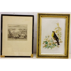  'Scarborough', etching signed by John W King (British fl.1893-1924), Bird on a Branch, Victorian painting on porcelain signed with initial  C.E.W and dated '99, max 30cm x 20cm (2)  