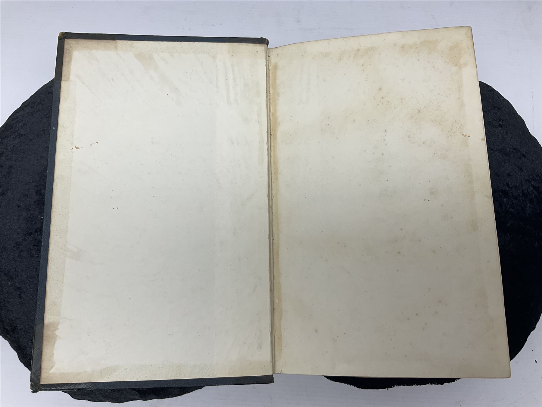 Oliver Goldsmith; Goldsmith’s Animal Nature A History of The Earth and Animated Nature, two volumes, A. Fullarton & Co London & Edinburgh, 1860