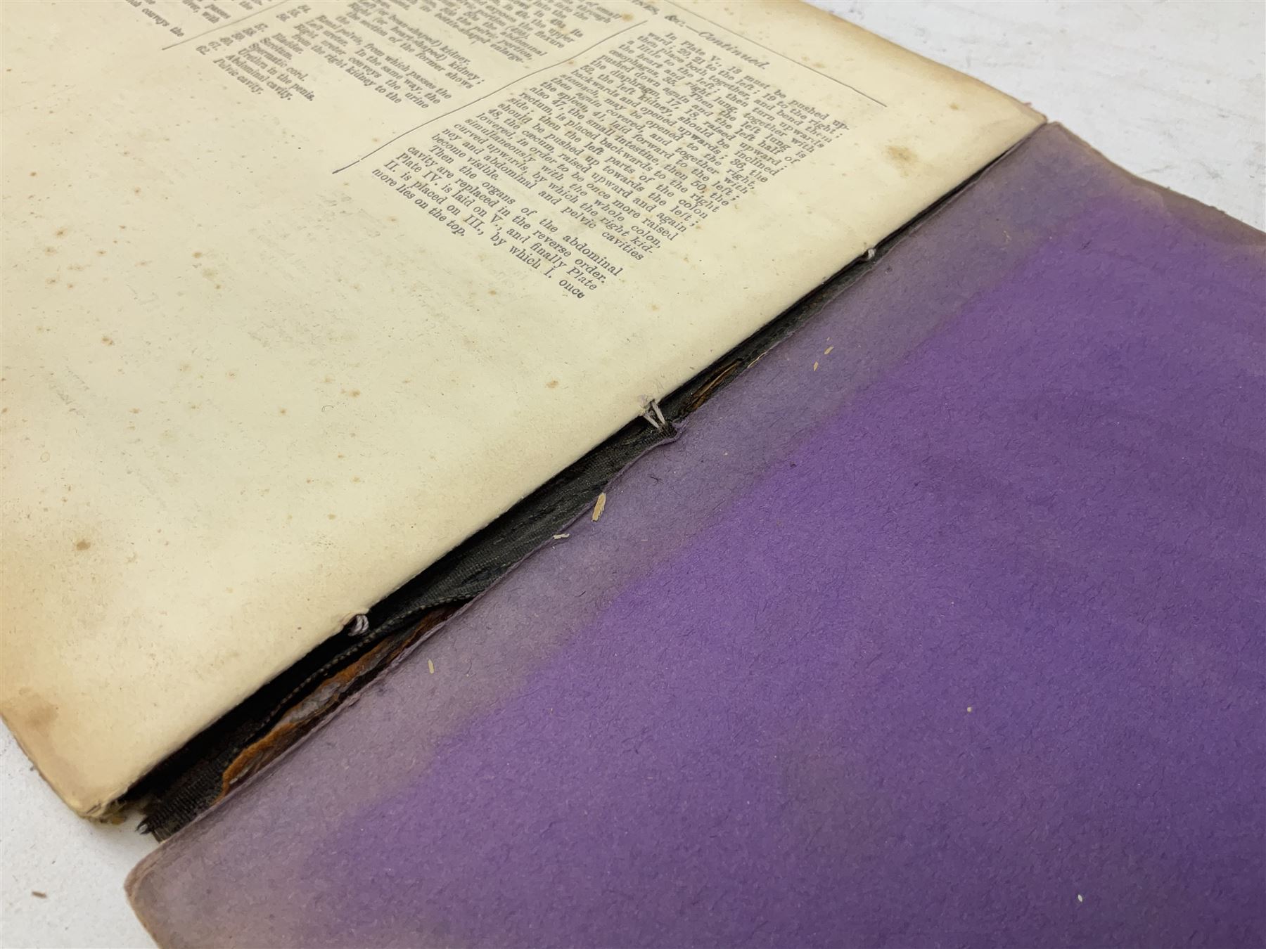 A. Schwarz, The Horse; Its External and Internal Organisation, An Illustrated Representation and Brief Description, Revised and Edited by George Fleming, London, George Philip & Son, with fold out anatomical plates