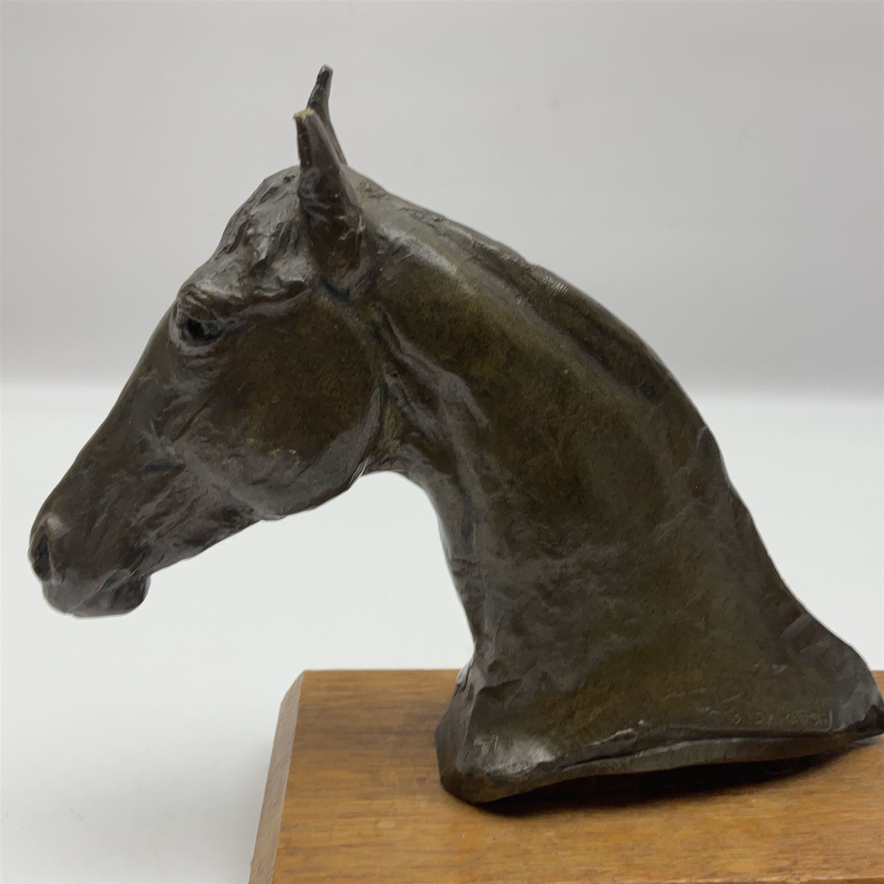 After Sydney March, bronze figure of horses head, wupon a wooden plinth, H17cm