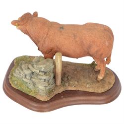 Two Border Fine Arts bull figures, comprising Belgian Blue Bull No A8953 and Limousin Bull No A9788