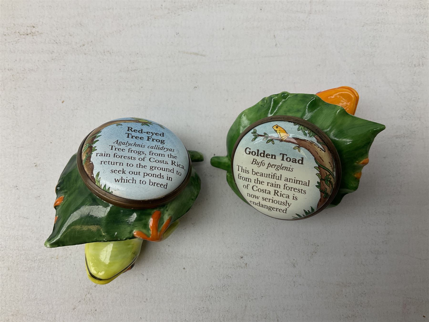 Four Halcyon Days bonbonnieres modelled as frogs, Golden Toad, Red-eyed frog, Dart-poison frog, and Poison Dart frog, in single box 