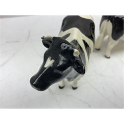 Seven Beswick cow figures, to include Friesian bull Ch. ''Coddington Hilt Bar'' no. 1439a, Friesian cow Ch. 'Claybury Leegwater' no. 1362a and Friesian calf no. 1249C, Aberdeen Angus calf 1827a, Jersey cow no. 1345 etc, all with printed mark beneath  