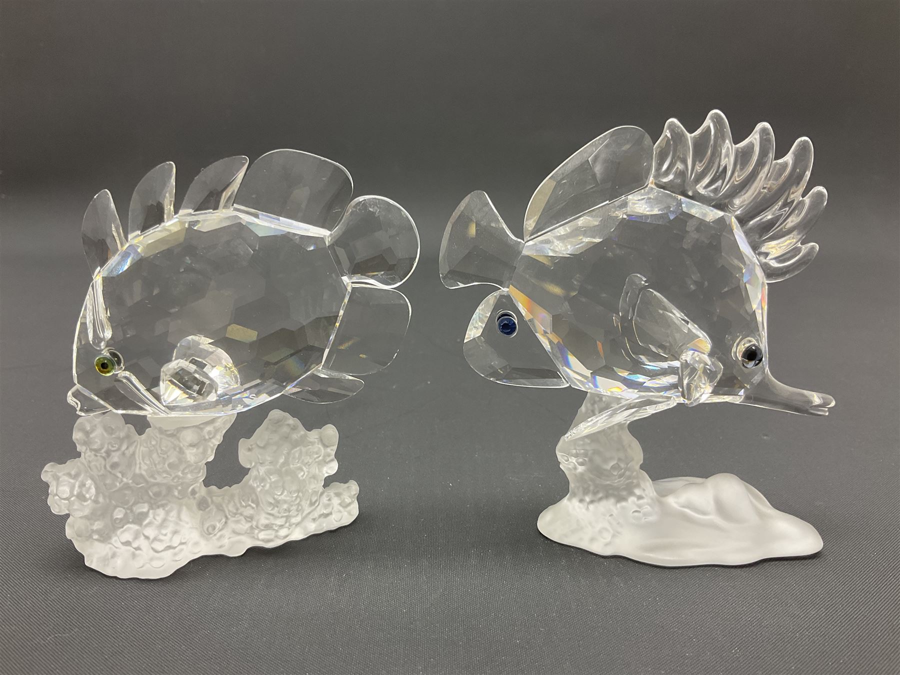 Swarovski Crystal sea creatures, comprising lion fish and dolphin, both with coloured elements, together with two seahorses, two small fish groups, butterfly fish, longnose butterfly fish and six coloured shells, tallest H8.5cm