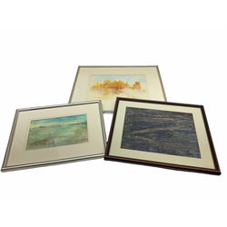 Madeleine Eyland (Belgian/British 1930-2021): Collection of abstract pastels, approx 21, max 19cm x 28cm 
Provenance: artist's studio collection. Marie-Madeleine Eyland (neé Legrain) was born in 1930 at Floriffoux, Belgium; she lived most of her life in Scarborough working as a nurse and an artist.