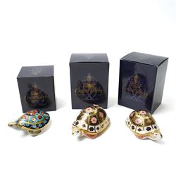 Three Royal Crown Derby paperweights, comprising two Yorkshire Rose Tortoises, and a Terra...