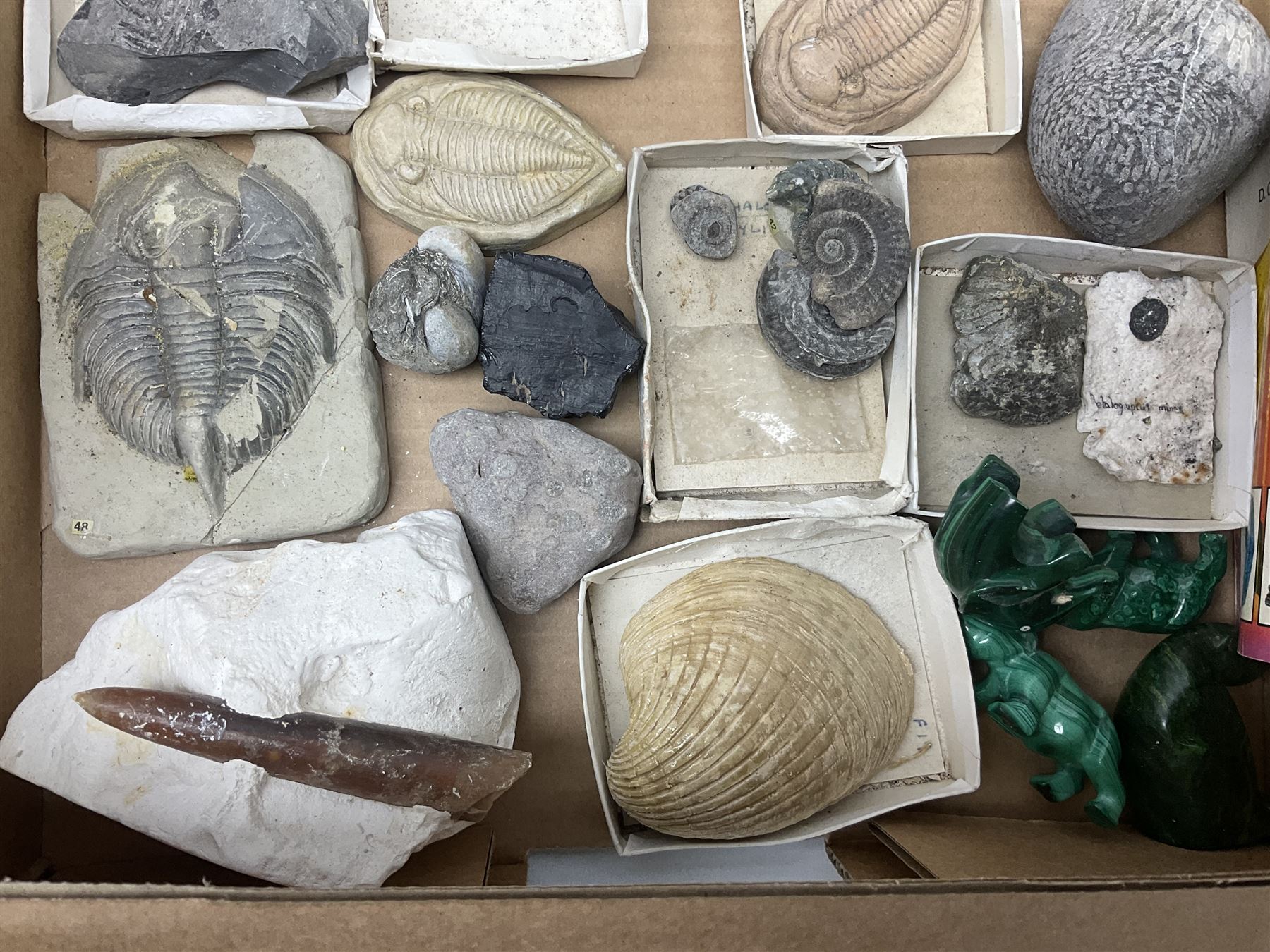 Natural history; Collection of rock and mineral specimens to include muscovite, sphalerite zinc blende, breccia, migmatite, fluorite etc, housed in a wood box, some named 