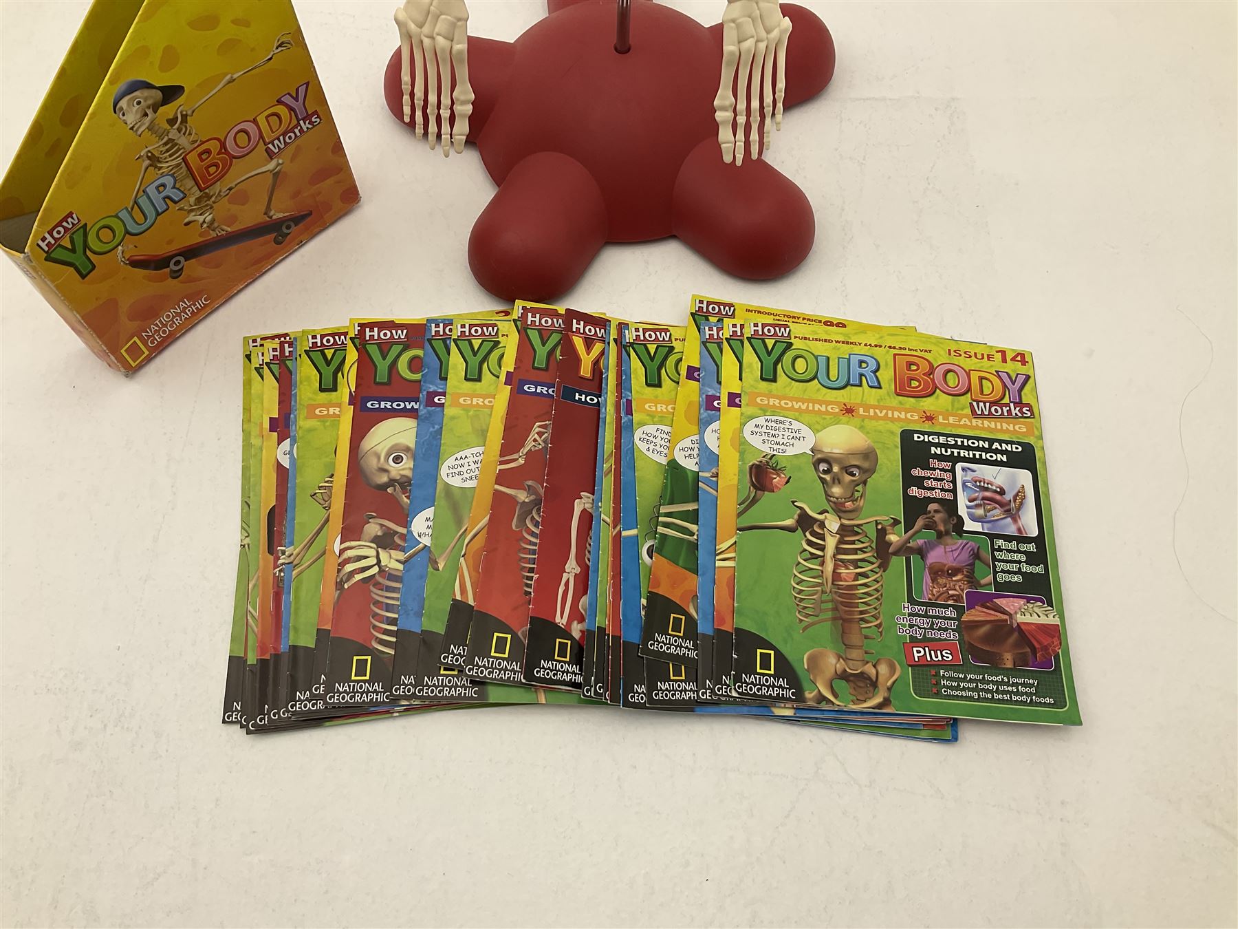 Billie Bones anatomy skeleton with set of magazines volume one to thirty four, skeleton H120cm. 