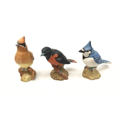 Three Beswick matt glazed birds comprising Baltimore Oriole, Cedar Waxwing (a/f) and Blue Jay (3)  