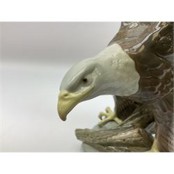 Lladro figure, Liberty Eagle, modelled as an eagle upon a branch with outstretched wings, limited edition 574/1500, no 1738, year issued 1998, year retired 1999, H40cm  