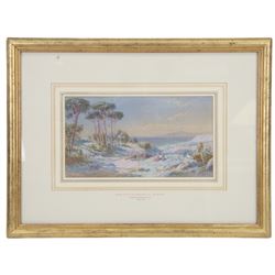 Charles Edmund Rowbotham (British 1856-1921): 'Vesuvius and the Bay of Naples from near Torre del Greco', watercolour signed, titled on the mount 15cm x 28cm