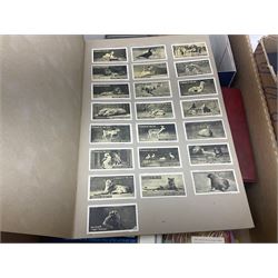 Large quantity of cigarette and tea cards, mostly in ring binders, with some loose examples, including History of Aviation, The Race into Space and Prehistoric Animals