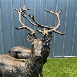 A pair of bronzed cast iron life-size garden or indoor Stags, oval plinth base - THIS LOT IS TO BE COLLECTED BY APPOINTMENT FROM DUGGLEBY STORAGE, GREAT HILL, EASTFIELD, SCARBOROUGH, YO11 3TX