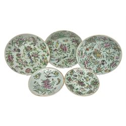 Five Chinese Celadon plates decorated in the Famille Rose with birds and insects amongst flowers and foliage, largest plate D19cm