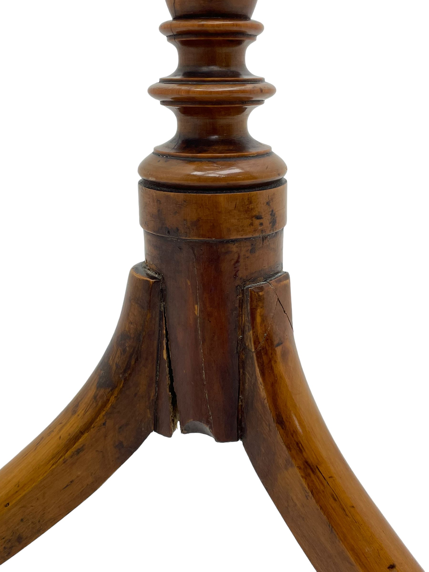 19th century satinwood tripod wine table, moulded oval top inlaid with boxwood and ebony stringing, fine turned vasiform column, three splayed supports with spade feet
