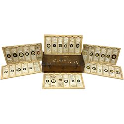 19th century and later, thirty-six microscope slides, to include entomology and plant specimens; cased    