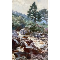 Charles Ernest Butler (British 1864-1918): Stream 'Near Callander' - Scotland, oil on board signed, indistinctly titled verso 19cm x 11cm 