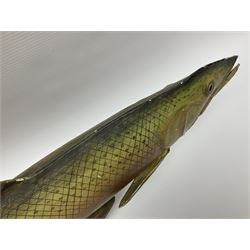 20th century advertising hanging sign, the tin plate sign painted as a rainbow trout, L66cm, H26cm