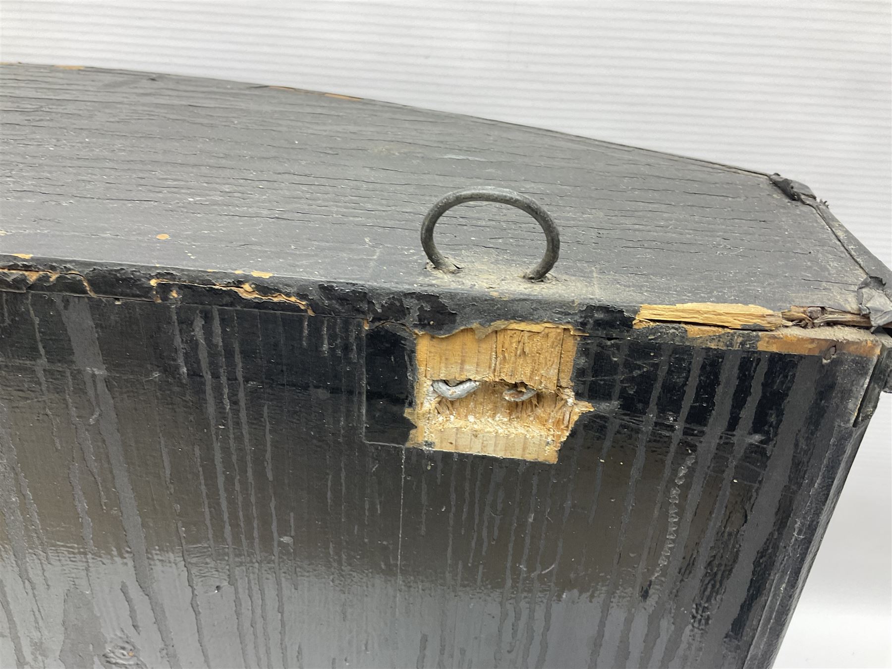 Taxidermy: Brown trout (Salmo trutta), skin mount set above a pebbled river bed with reeds and ferns, against blue painted back drop, enclosed within an ebonised bow-front display case, with 'Costa Beck May 27th 1911, Weight 2 1/2lbs', inscribed to the glass, H34cm, L58cm 