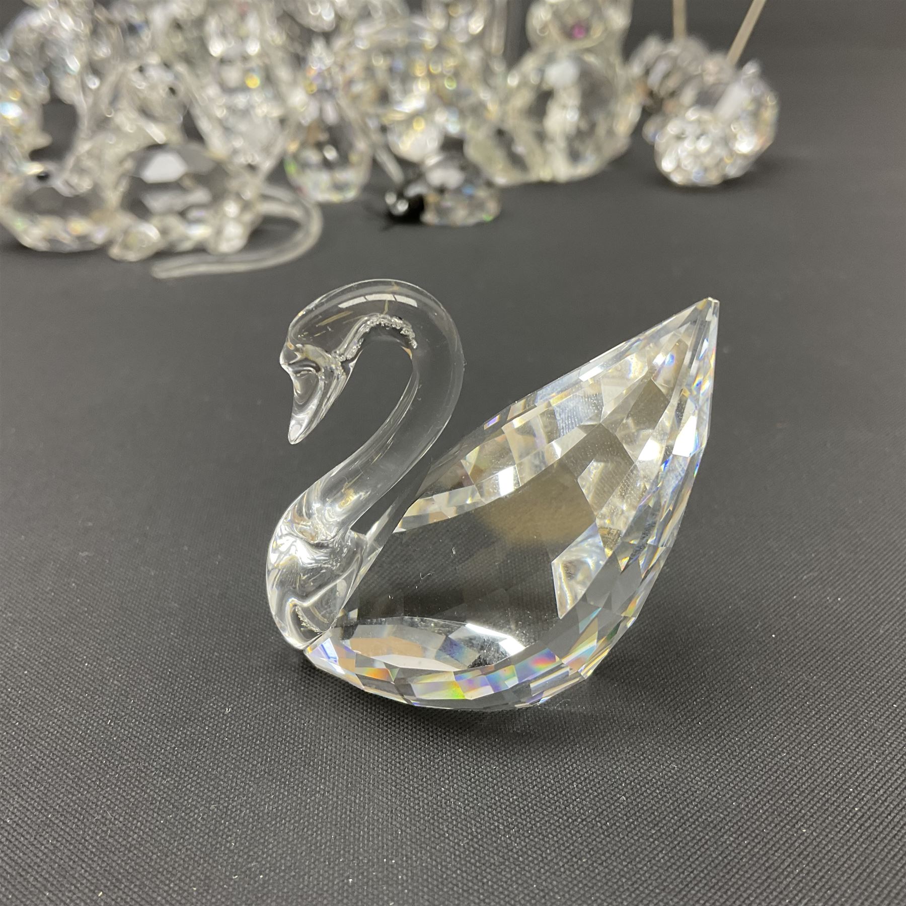 Collection of Swarovski Crystal animals, to include hedgehogs, snails, birds, mice and snakes, etc