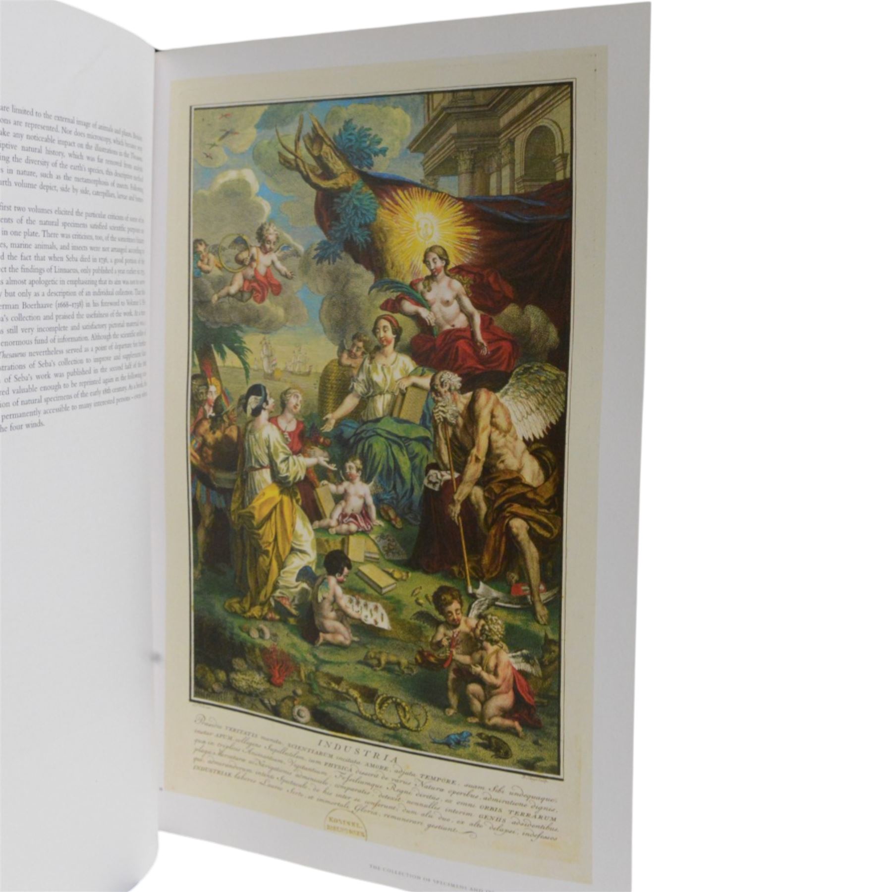 Albertus Seba; Cabinet of Natural Curiosities. The Complete Plates in Colour 1734-1765 Based on the copy in the Koninklijke biblitheek, The Hague, Published by Taschen, 