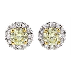 Pair of 18ct white gold round brilliant cut fancy yellow and white diamond cluster stud earrings, total diamond weight approx 0.50 carat