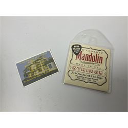 Rosetti Serenader eight-string mandolin with slightly bowed segmented maple back and ribs and ivorine mounts L62cm; in carrying case