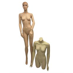 Full body mannequin (H175cm), and torso mannequin (H91cm)