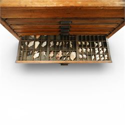 20th century oak printers cabinet, the rectangular top over a bank of twelve shallow drawers each fitted with a metal label handle, the drawers internally compartmentalised and containing an assortment of shells, raised on a shaped plinth base